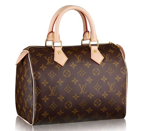 Louis Vuitton Bag Speedy 